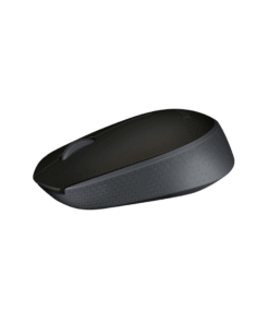 LOGITECH M171 Mouse right and left-handed wireless 2.4 GHz USB wireless receiver black blue