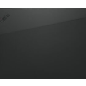LENOVO ThinkPad Professional Sleeve 14p