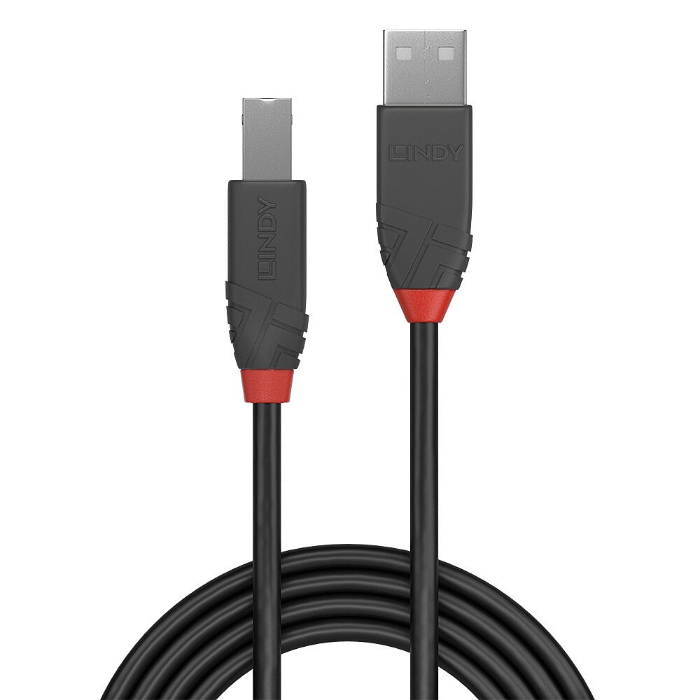 LINDY Câble USB 2.0 type A vers B Anthra Line 0.5m – Image 2