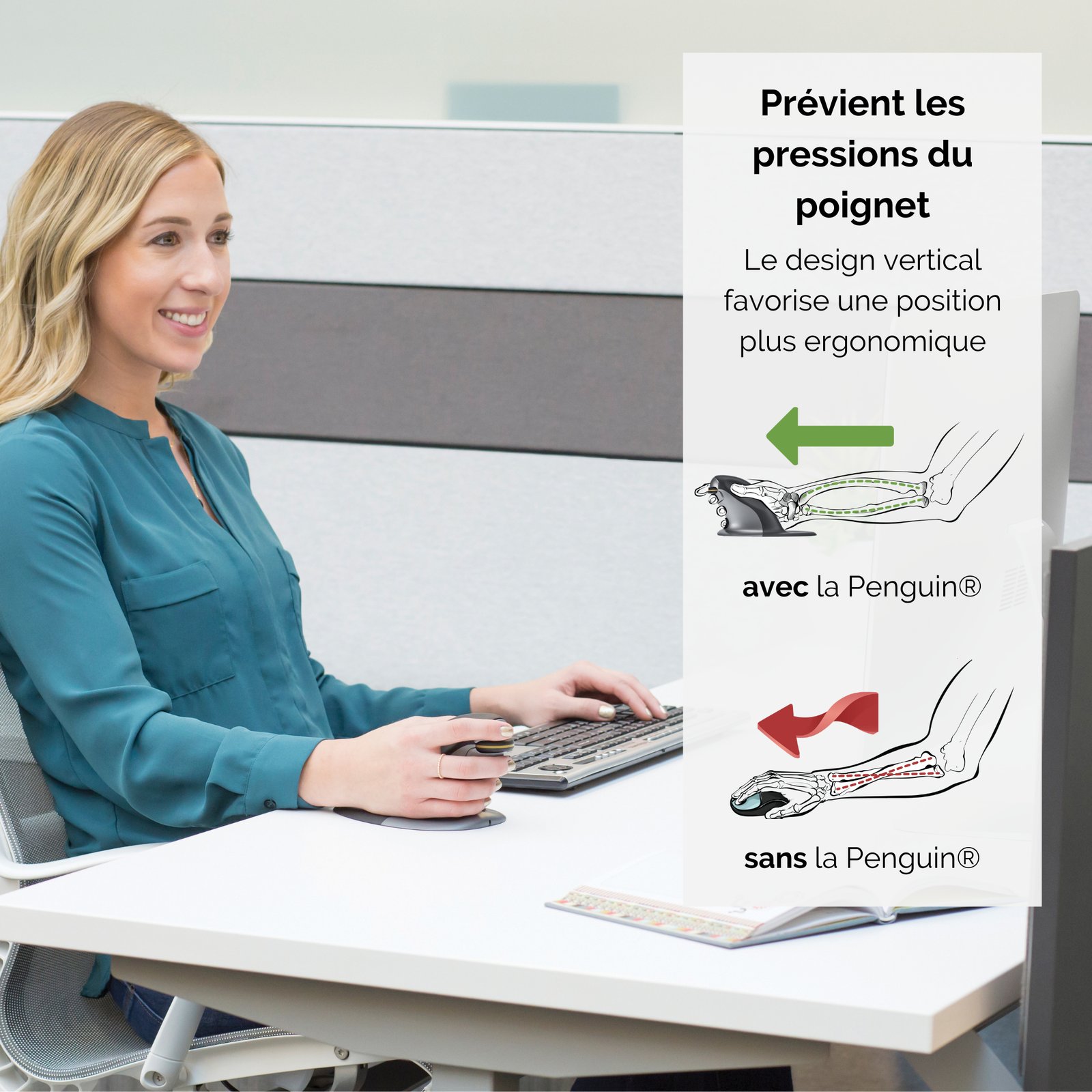 FELLOWES SOURIS VERTICALE AMBIDEXTRE PENGUIN SANS FIL - LARGE – Image 2